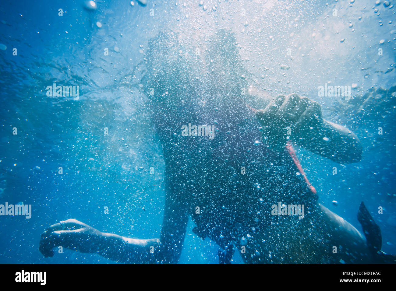 Die Silhouette eines attraktiven schlanken Frau unter Wasser. Die Schönheit der Ocean World. Idealer Hintergrund für die verschiedenen Arten von Marine Collagen und Illustrationen in Blautönen. Stockfoto