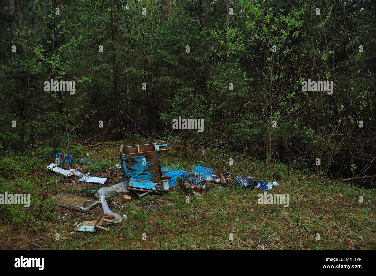 SYKTYVKAR, Russland - 31. MAI 2018: anschauliches Bild. Umweltverschmutzung. Eine Menge Müll von Menschen geworfen in den Nadelwald. Stockfoto