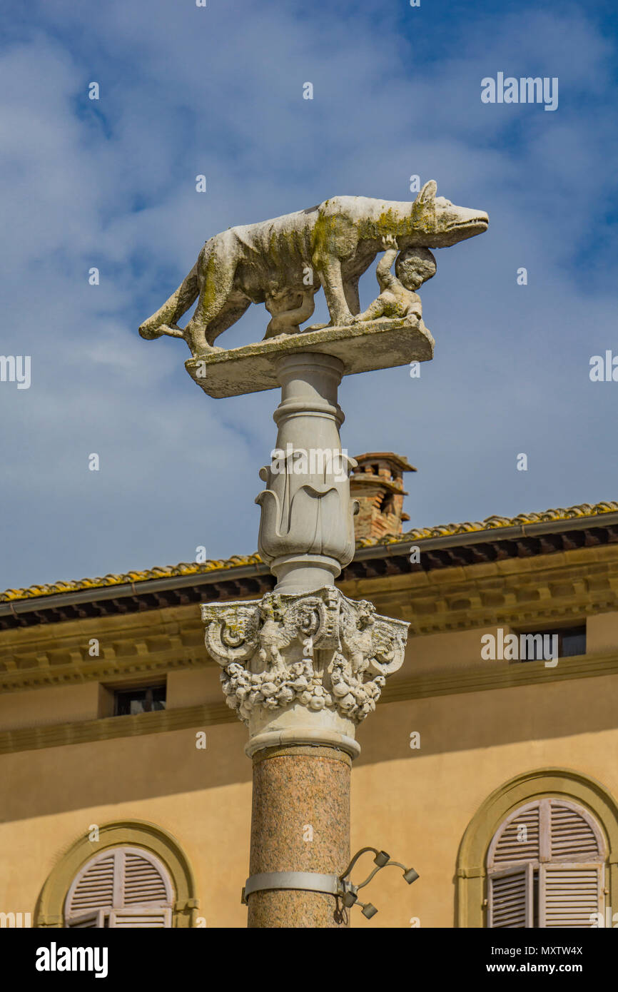 Blick auf dem Kapitol Wolf Statue in Siena, Italien Stockfoto