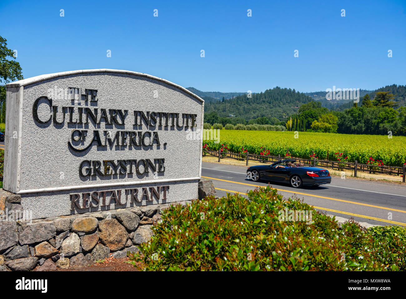 Napa, Kalifornien - Vordere Zeichen für das kulinarische Institut von Amerika mit Cabriodaches sicher Auto fahren durch die Landschaft und die Weinberge. Stockfoto
