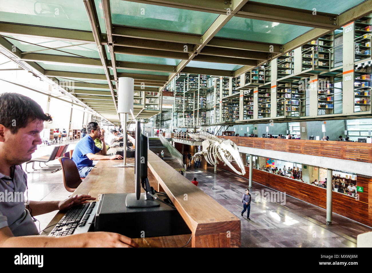 Mexiko-Stadt,Hispanic Latin Latino Ethnic,Mexican,Buenavista,Biblioteca Vasconcelos Public Library,Zeitgenössische Architektin Stockfoto