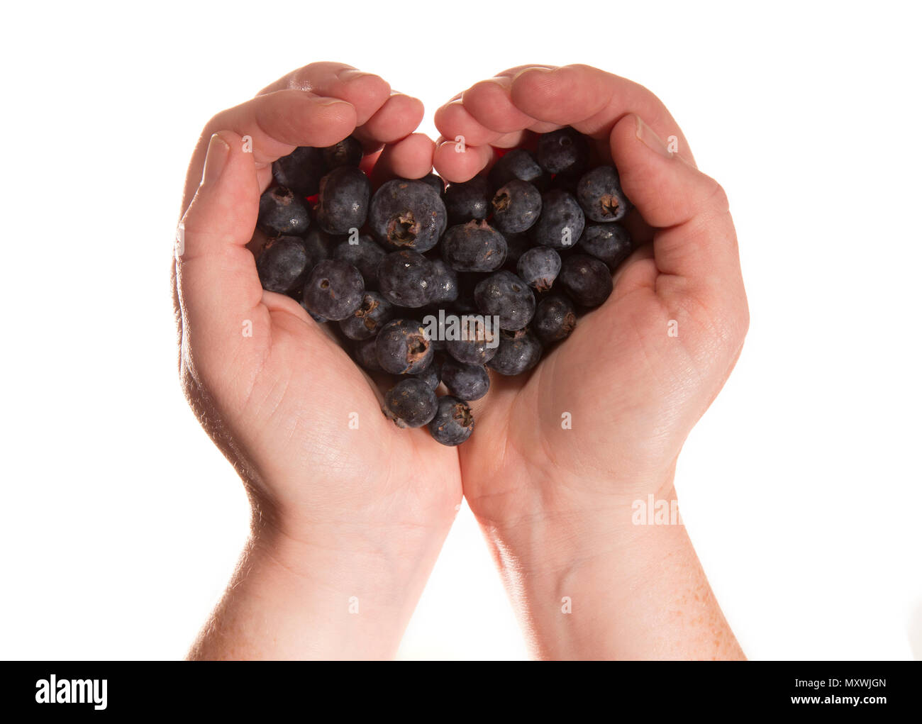 Hände, die Blaubeeren in Form eines Herzens Stockfoto