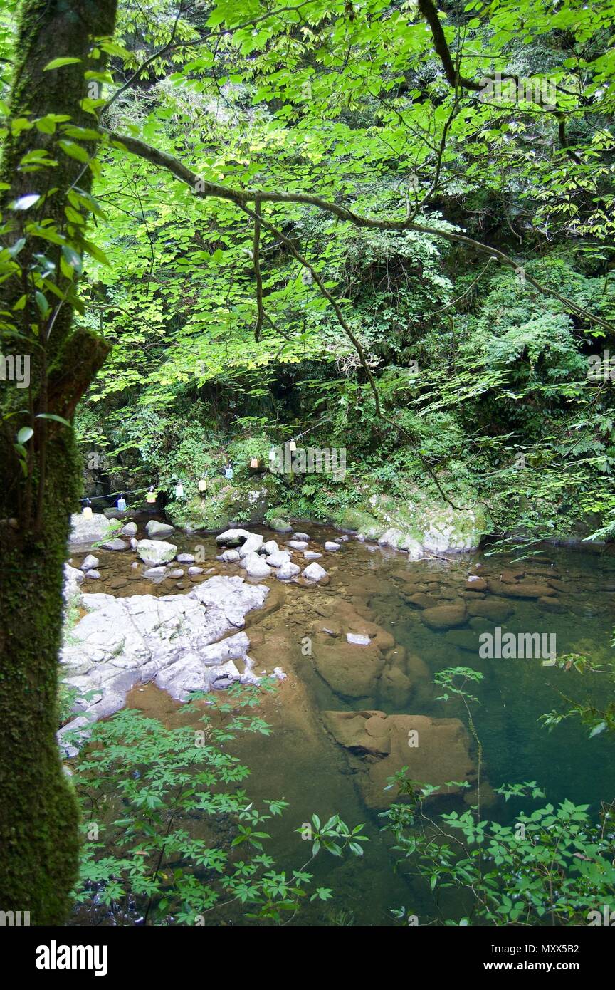Akame 48 Wasserfälle: geheimnisvolle Landschaft mit riesigen Bäumen und riesigen Moos bewachsen Felsformationen, unberührte Natur, grüne Vegetation, Wasserfällen Stockfoto