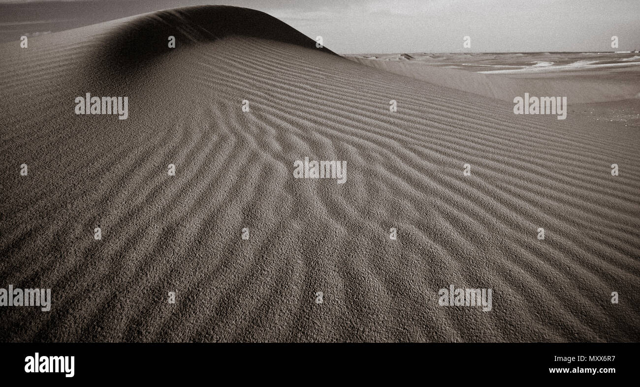 Düne, schwarz-weiß horizontale Bild in der Dämmerung, abstrakte Ansicht von Sandmustern in der Wüste, Dubai, Mittlerer Osten. Stockfoto