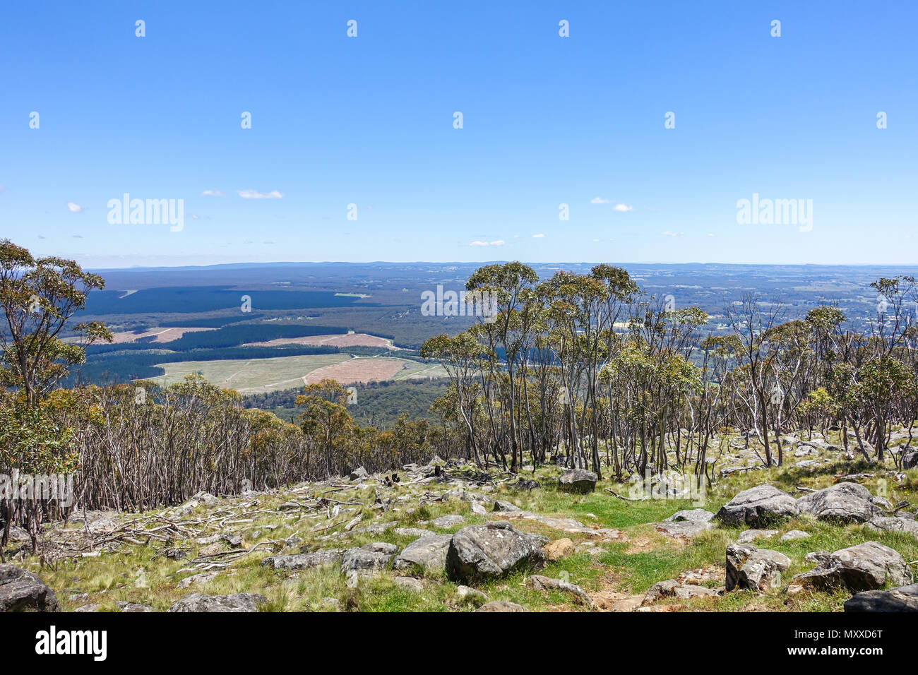 Blick vom Gipfel des Mount Macedon. Typisch australische Landschaft mit Wald, Ackerland und die Berge in der Ferne. Macedon Regional Park, VIC Australien. Stockfoto