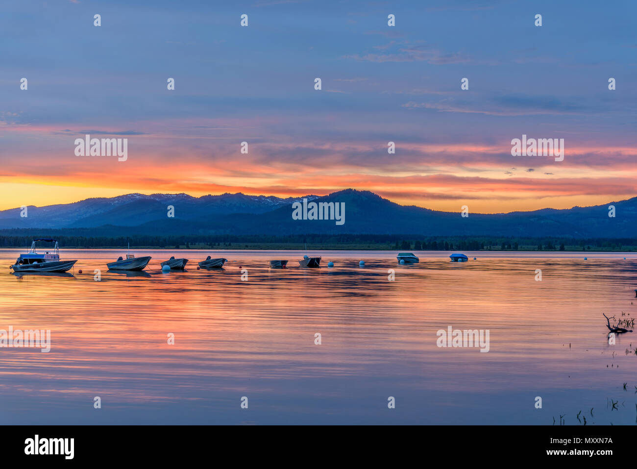 Sonnenuntergang Jackson Lake - Frühjahr Sonnenuntergang leuchtet bewölkter Himmel über einer ruhigen Bucht von Jackson Lake im Grand Teton National Park, Wyoming, USA. Stockfoto