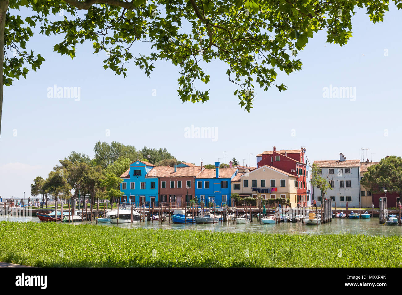 Das kleine Boot, Marina und bunten Häusern im Frühjahr, Insel Burano, Venedig, Venetien, Italien, mit grünem Gras und Laub in den Vordergrund Stockfoto