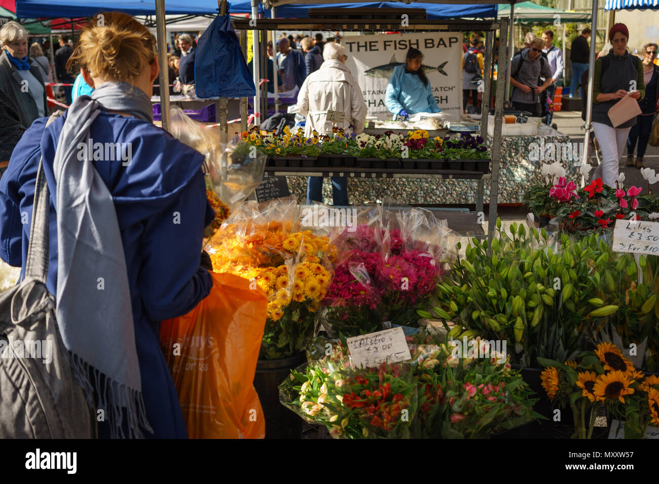 London, UK - Oktober 2017. Blume in Blackheath Bauernmarkt, einem lokalen Markt findet jeden Sonntag in Blackheath. Querformat. Stockfoto
