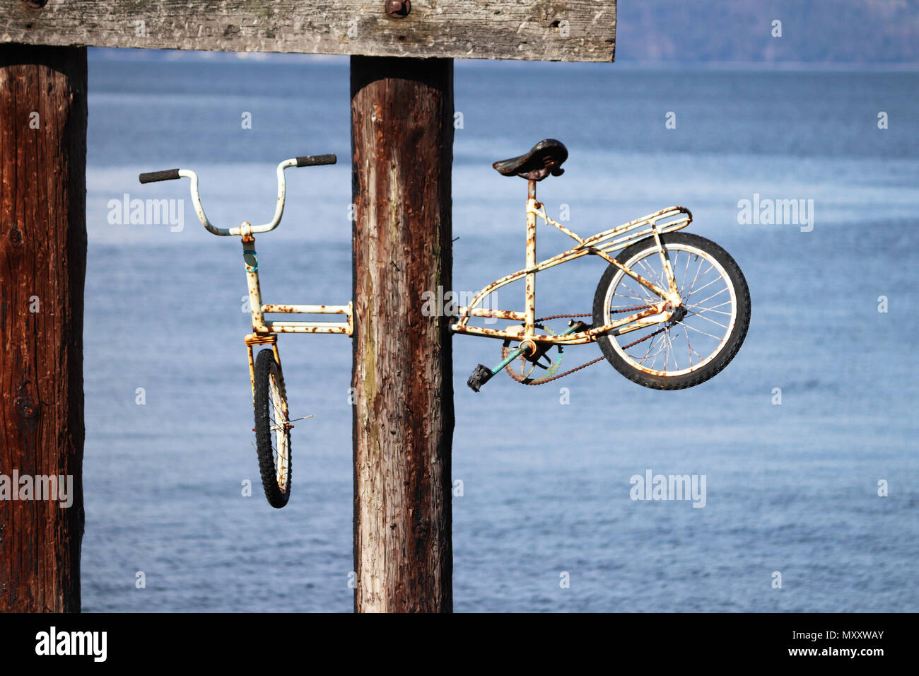 Alten rostigen Fahrrad über Wasser Stockfoto