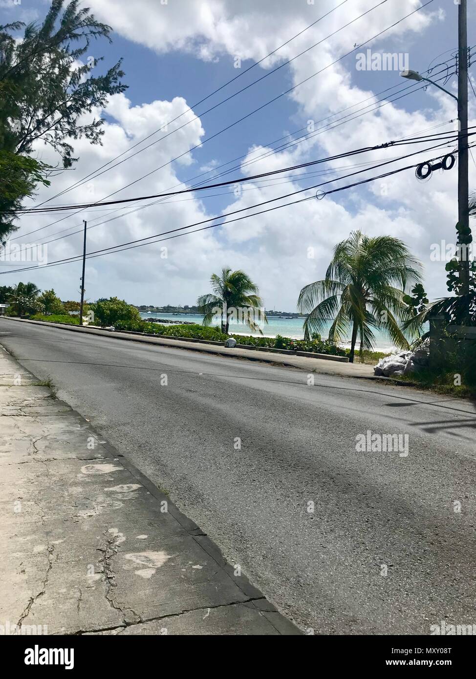 Kleine Küstenstraße in Otley, Barbados (Karibik Insel - West Indies) mit üppigen Palmen, einen schönen Strand und der malerischen türkisblauen Ozean Stockfoto