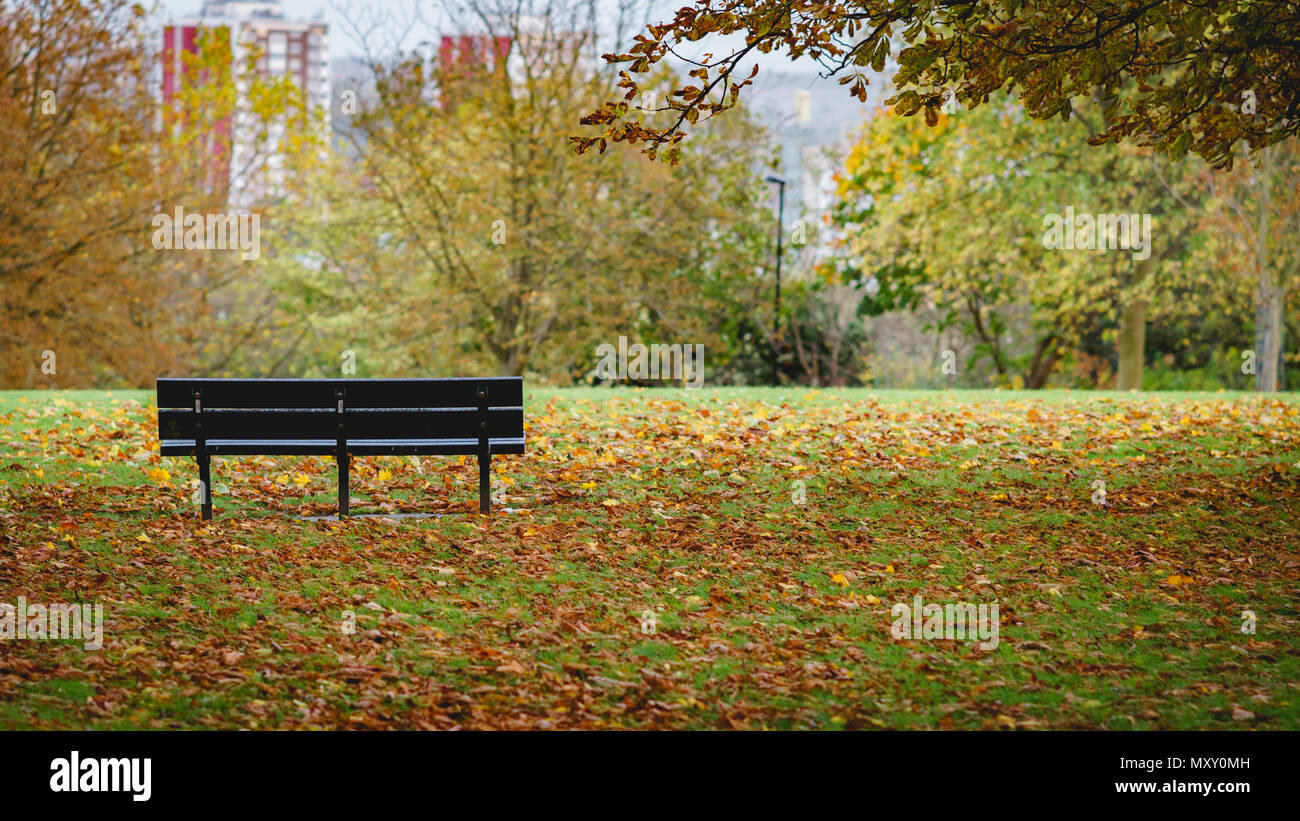 London, UK - Oktober 2017. Einen einsamen leeren Bank in hügeligen Feldern Park am Fallen. Der Park liegt im Südosten von London Borough von Lewisham gelegen. Stockfoto