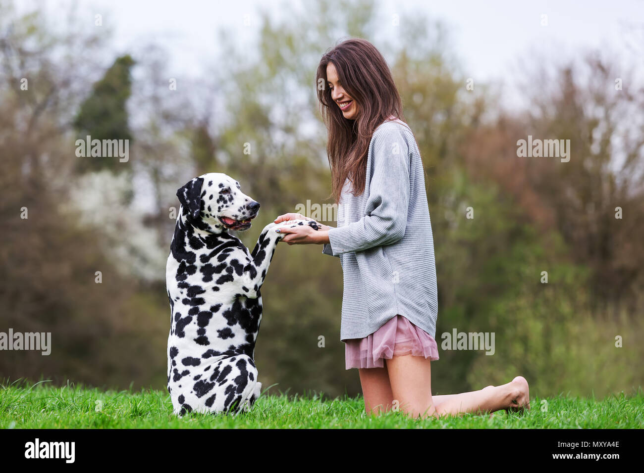Hübsche junge Frau spielt mit einem Dalmatiner Hund auf der Wiese Stockfoto