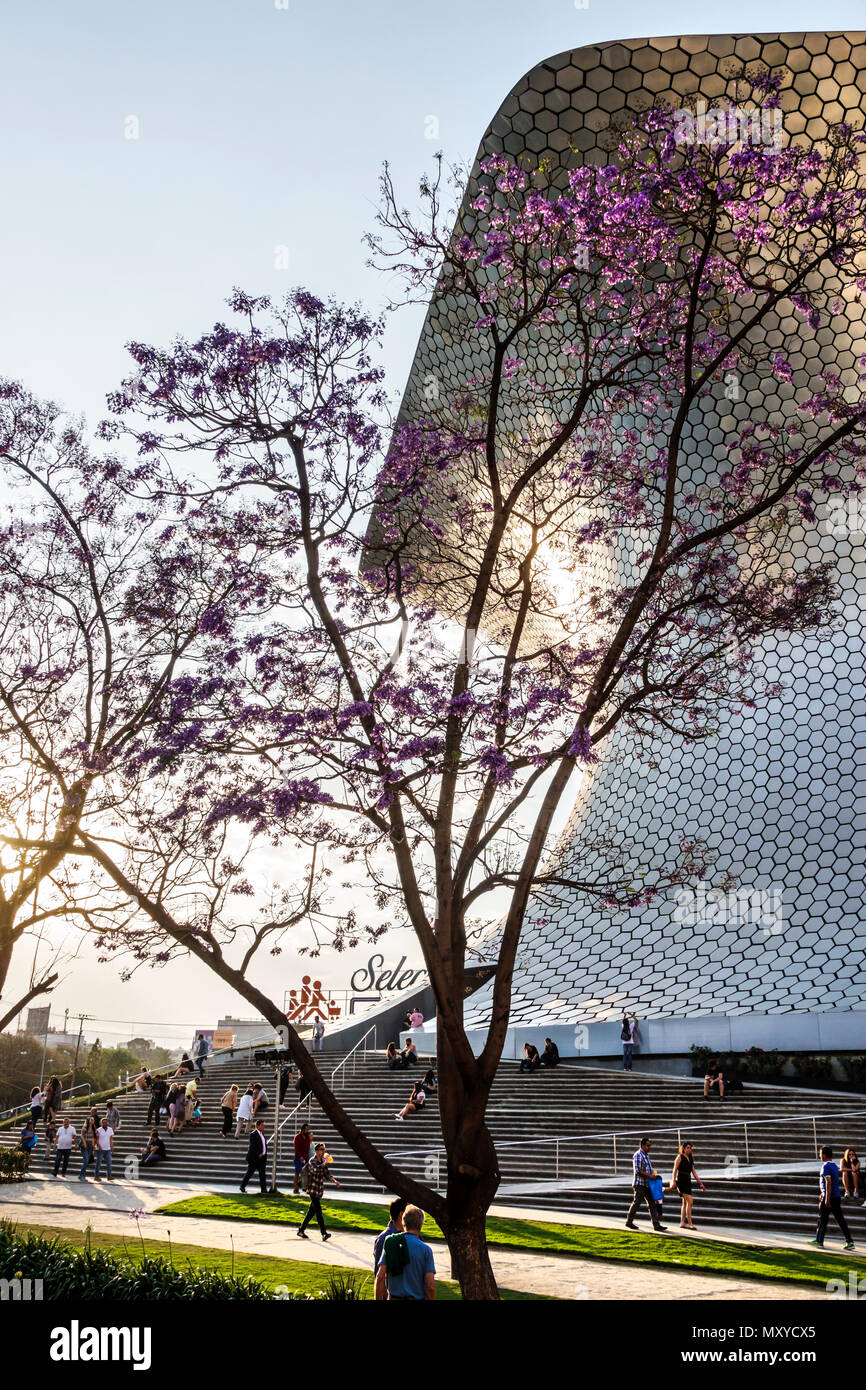 Mexiko-Stadt, lateinamerikanisch-lateinamerikanisch, ethnisch, mexikanisch, Colonia Granada, Plaza Carso, Museo Soumaya Museum Carlos Slim privat ar Stockfoto