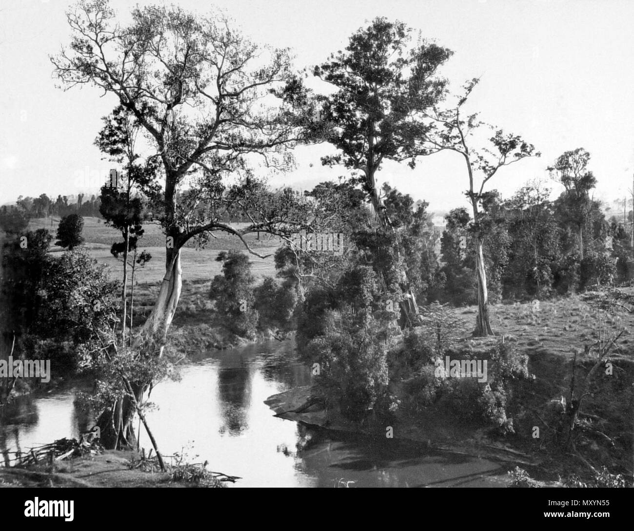 Mary River Crossing am oberen Kandanga, c 1931. Die Brisbane Courier vom 4. Februar 1931 Maria Tal und BURNETT. 21666393) KANDANGA, 3. Februar. Schwere Duschen bis 9 Uhr hat 150 Punkte. Imbil hatte 101 Punkte. Nebenflüsse und den Mary River steigen. GYMPIE, Februar 3. Letzte Nacht unveränderlichen Regen begann zu fallen, und die Registrierung von heute Morgen war 115 Punkte. Regen fiel kontinuierlich den ganzen Tag. Seit Mitternacht bis 5 Uhr am Nachmittag der Fall war 275 Punkte. Stockfoto