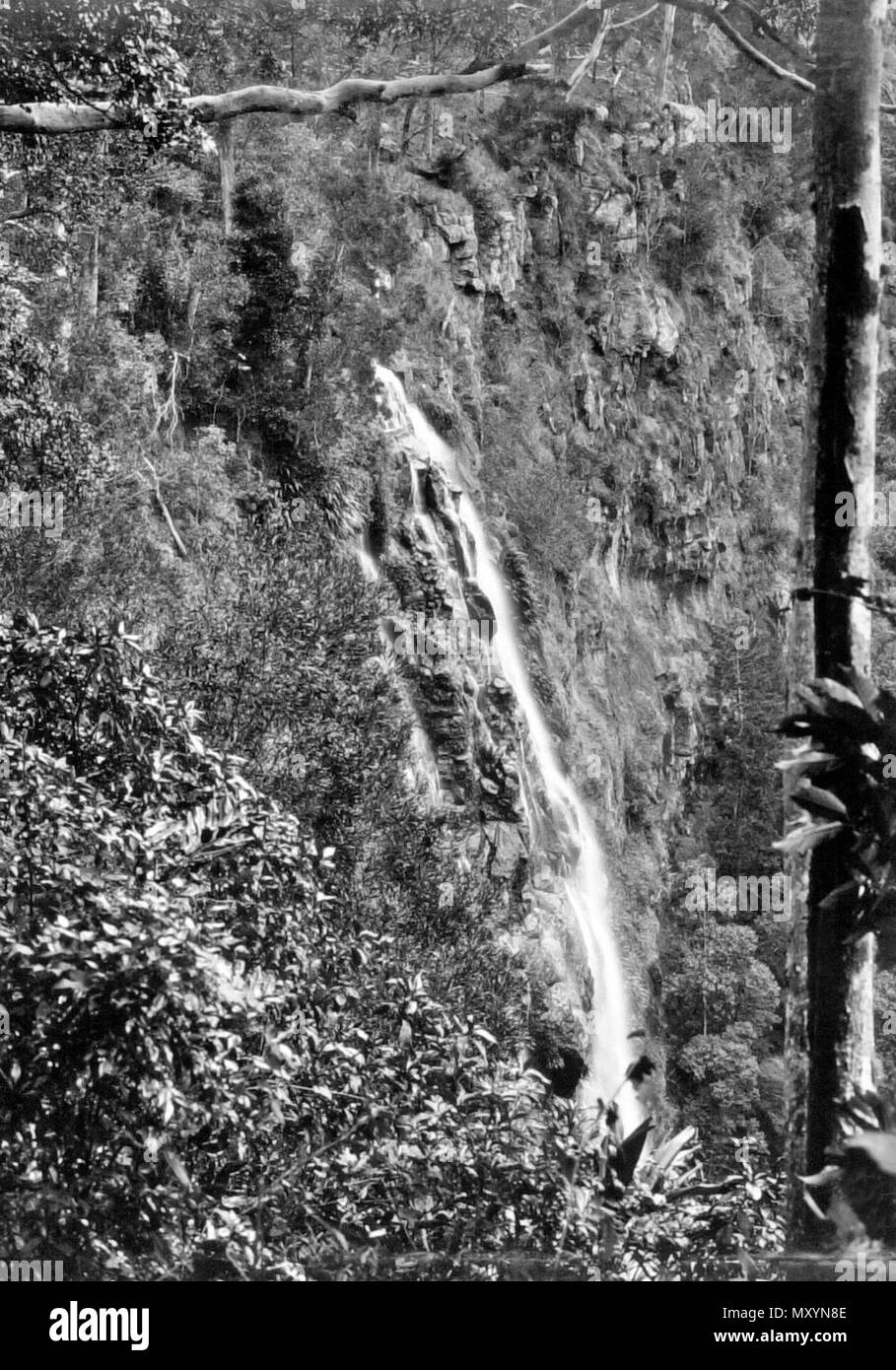 Morans fällt, Lamington National Park, Beaudesert Shire, September 1933. Stockfoto