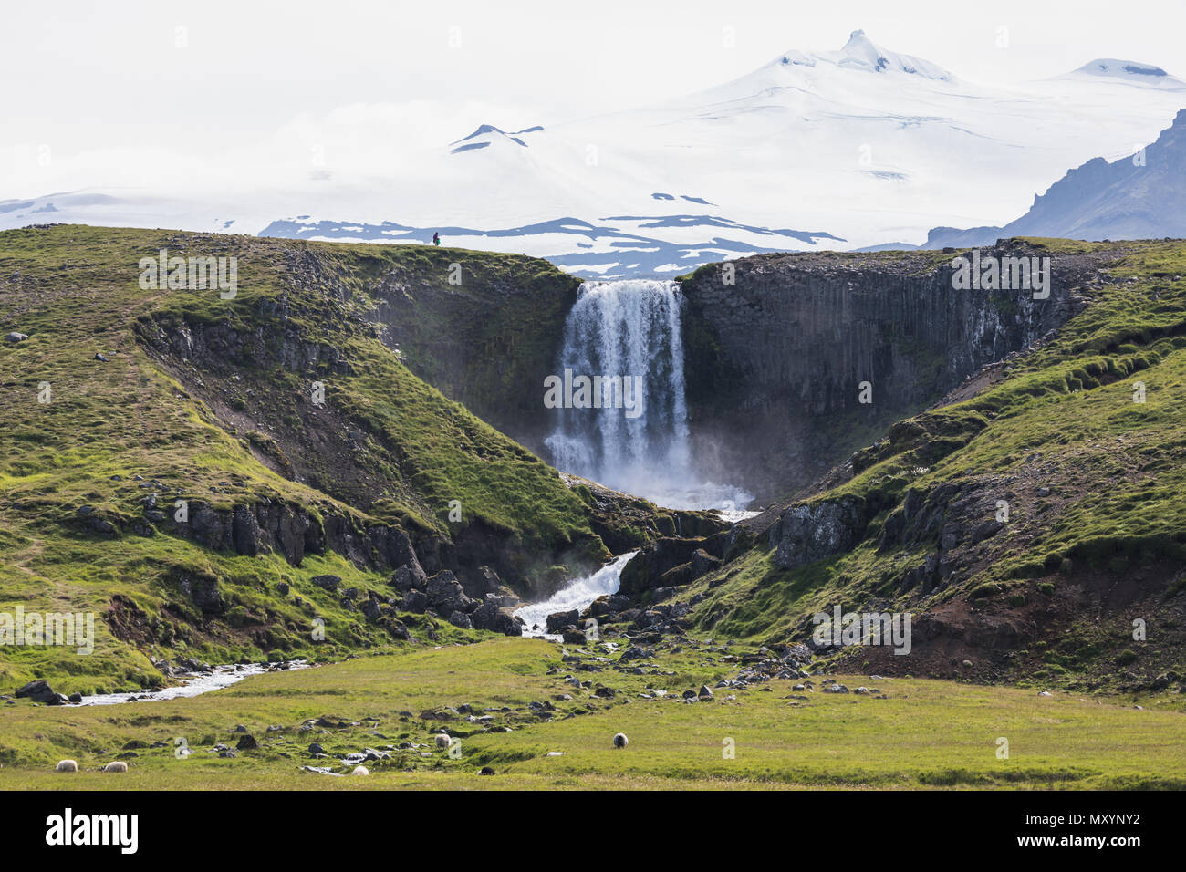 View Island Landschaft Sommer Background