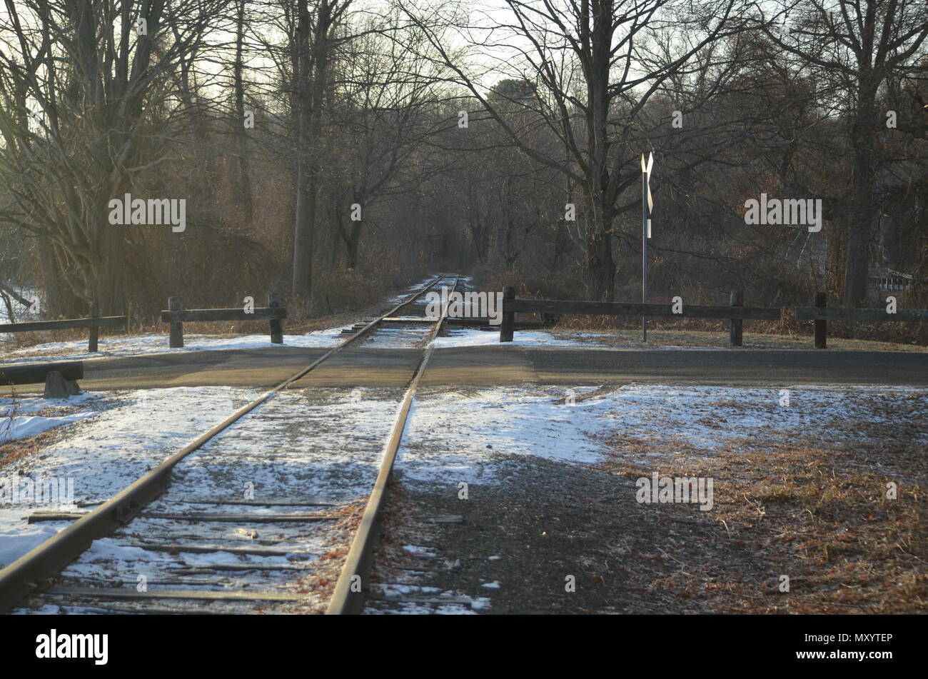 Eisenbahnschienen an einem Bahnübergang Stockfoto