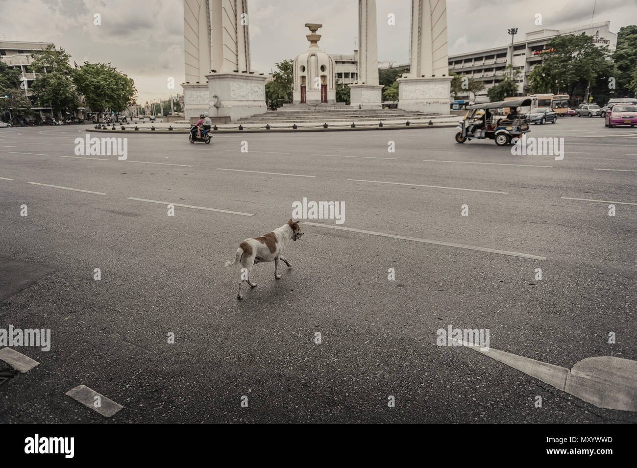 Ein streunender Hund über die Straße neben der Demokratie Denkmal in Ratchadamnoen Avenue, Bangkok, Thailand Stockfoto