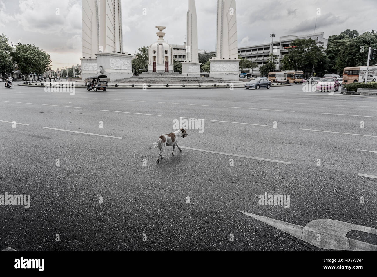 Ein streunender Hund über die Straße neben der Demokratie Denkmal in Ratchadamnoen Avenue, Bangkok, Thailand Stockfoto