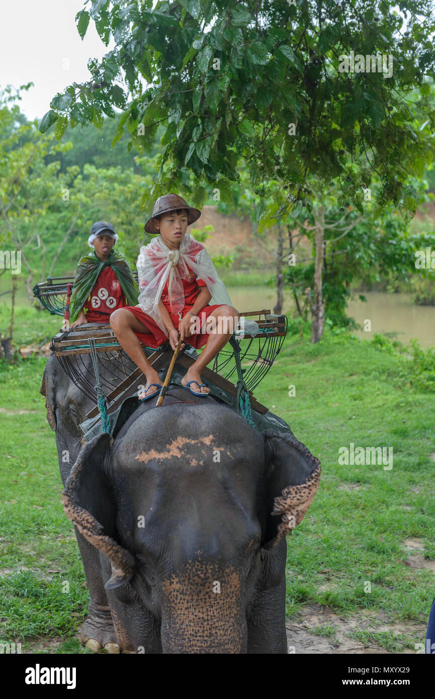 Elephant Sanctuary, Provinz Kanchanaburi, Thailand Stockfoto