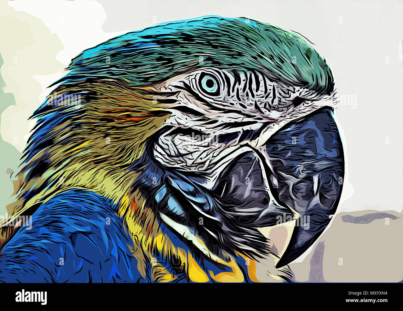 Abbildung: Eine blaue und gelbe Ara Papagei. Stockfoto