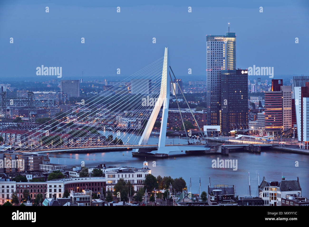 Die Erasmus-Brücke über den Fluss New Maas in Rotterdam vom Aussichtsturm Euromast aus gesehen. Stockfoto
