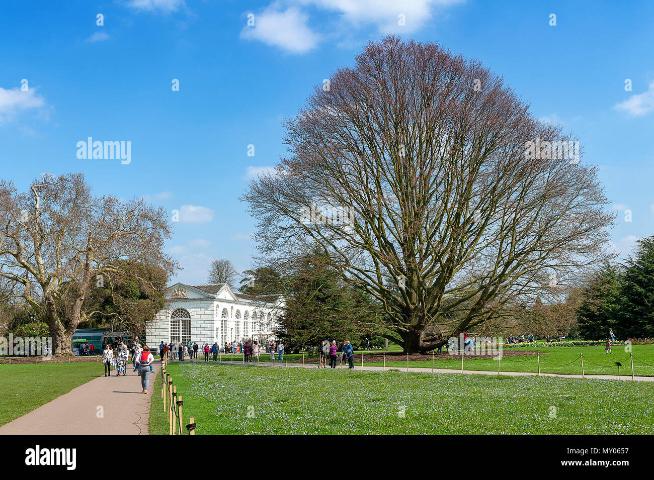 London, UK - April 2018: Die klassische weiße Gebäude der Orangerie Restaurant und Cafe Einstellung unter den botanischen Bereich in Kew Gardens Stockfoto