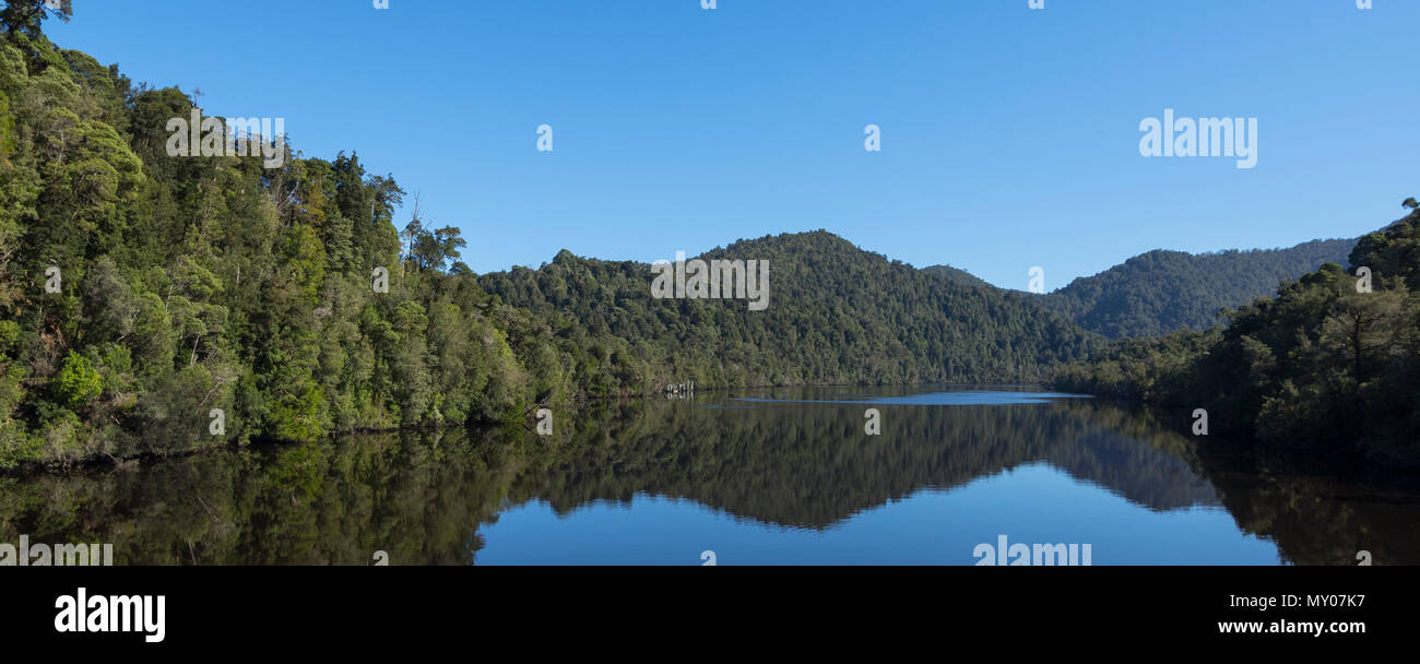Bäume spiegeln sich in Gordon River, West Coast Tasmanien Stockfoto