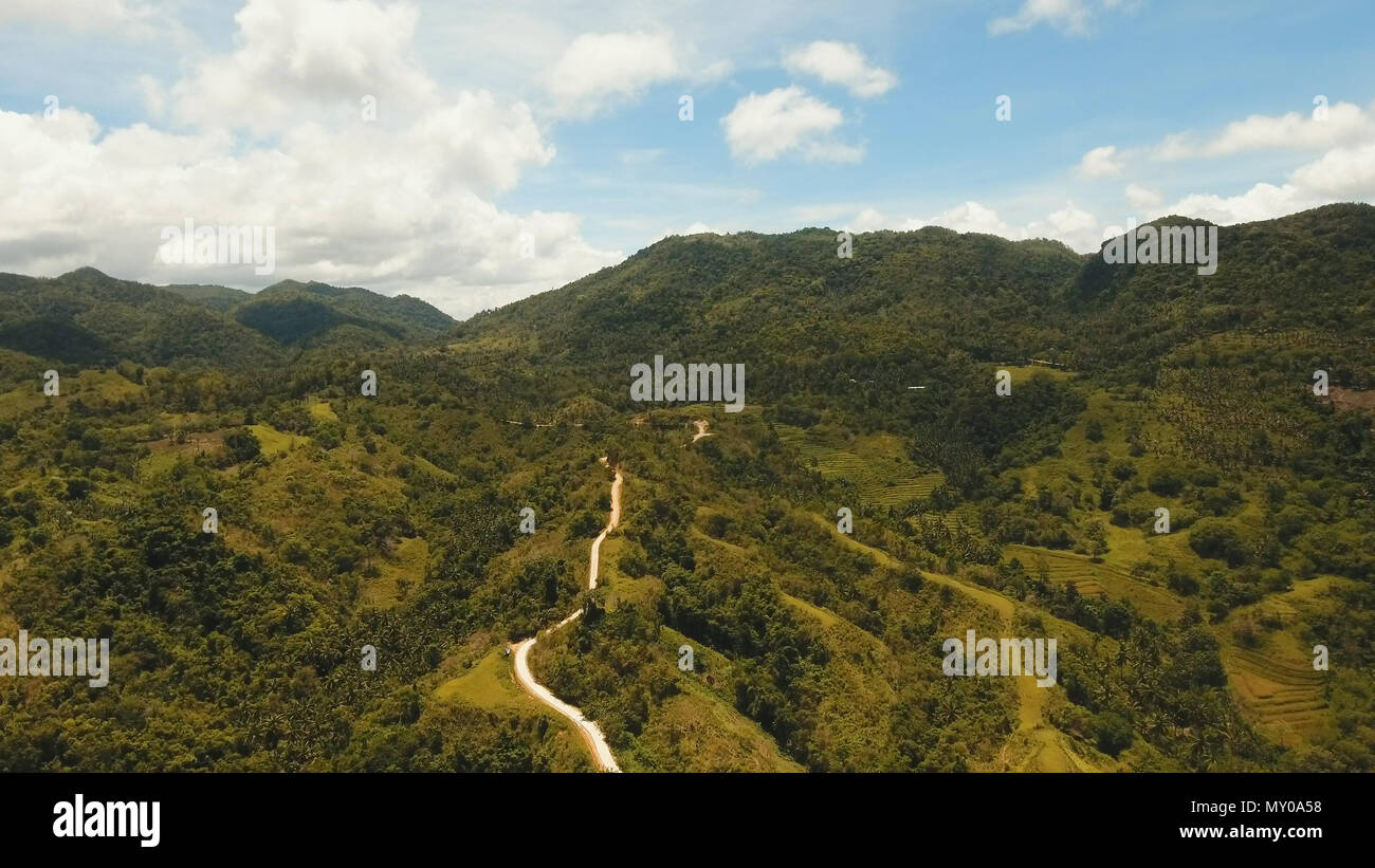 Reisfeld mit gelblich-grünen Gras. Luftbild: reis plantage mit hügeligen Bergwelt. Terrasse Reisfeld von luftaufnahme. Philippinen, Bohol. Stockfoto