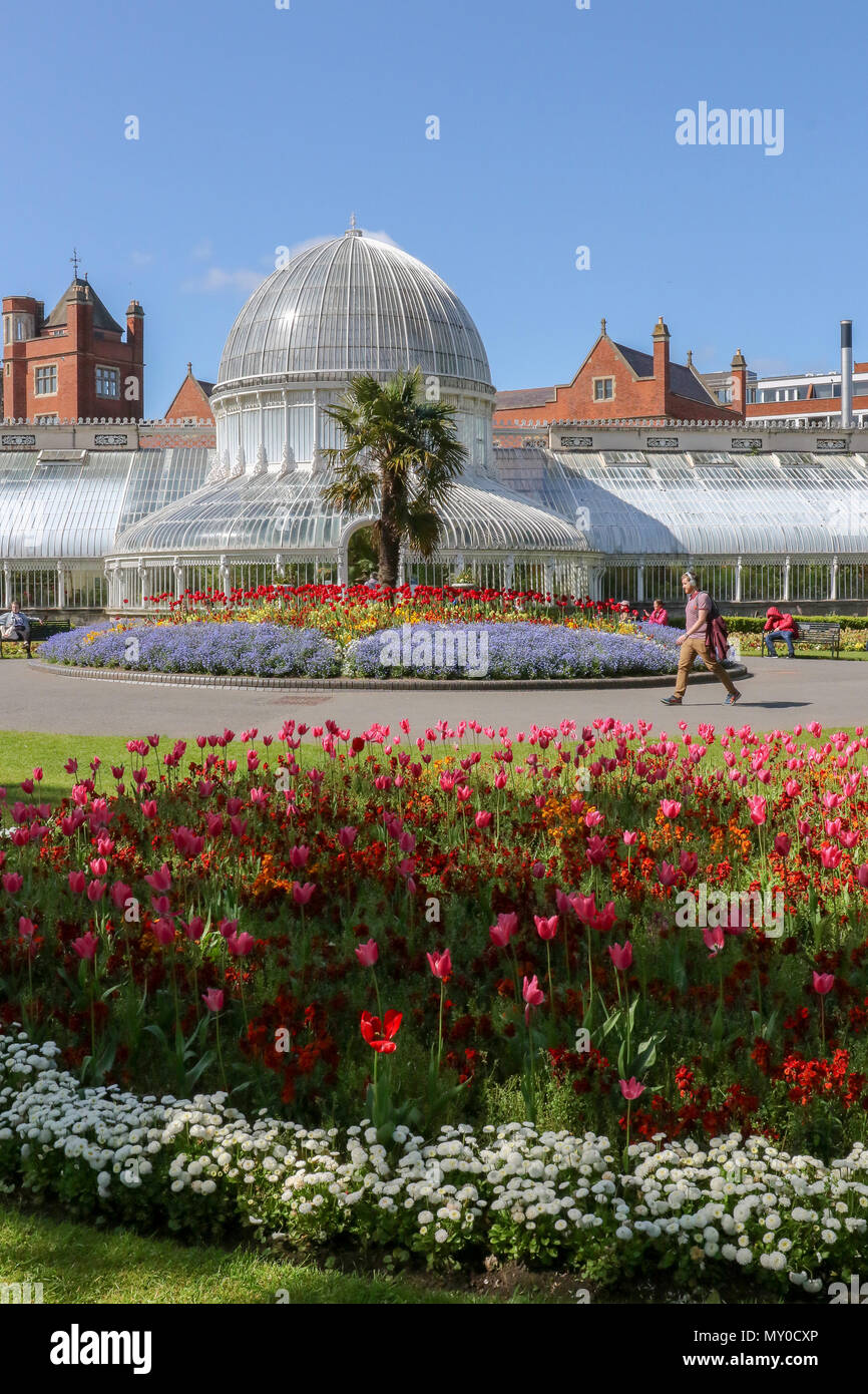 Menschen in einer britischen Park genießen die Sonne und Blumen neben das Glas Palmenhaus im Botanischen Garten, Belfast, Nordirland. Stockfoto