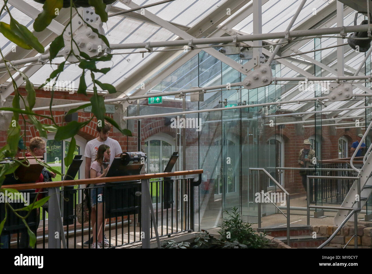 Besucher, die an eine pädagogische Information Board in den tropischen Schlucht, Botanische Gärten, Belfast. Stockfoto