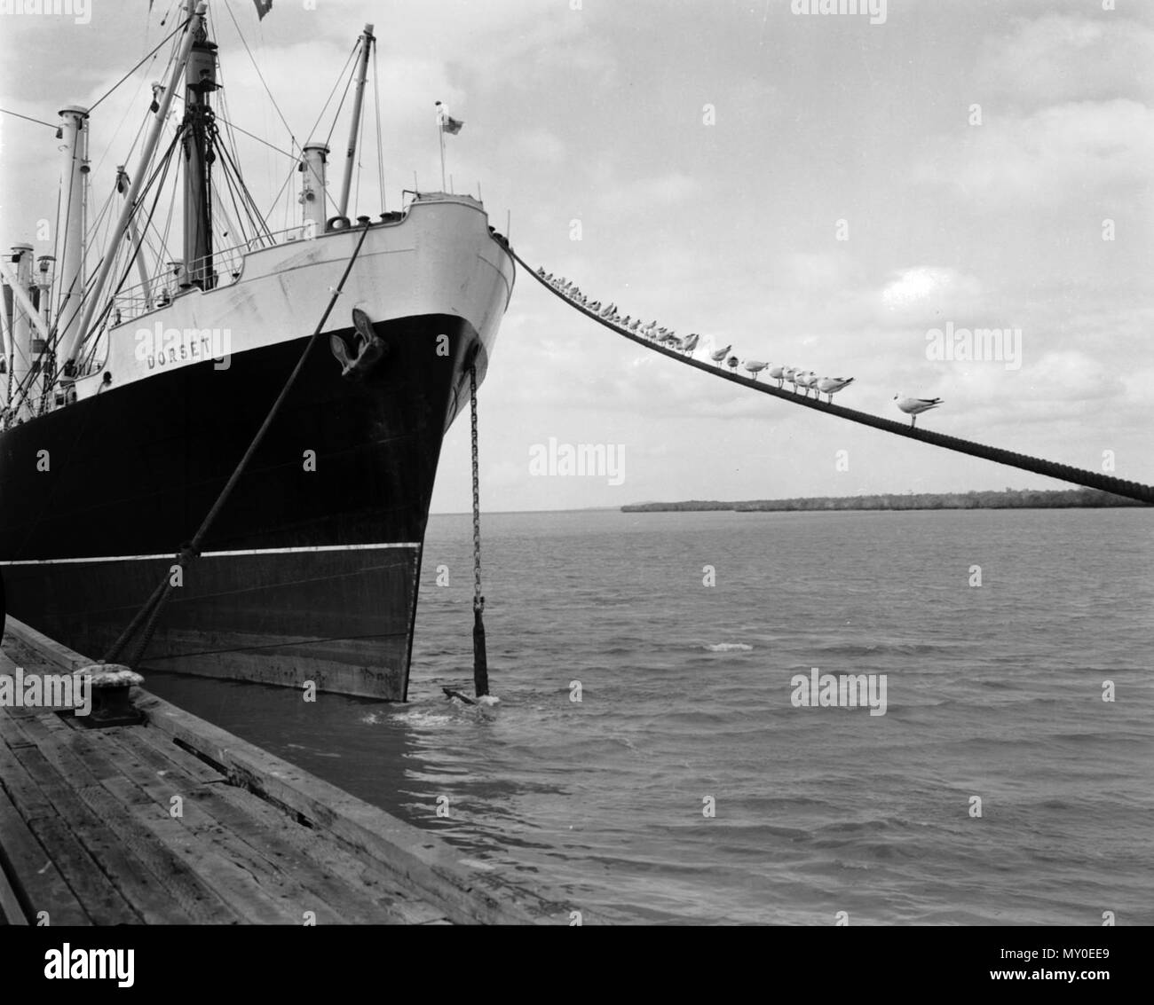 SS Dorset, Townsville, 1963. SS Dorset war ein 10,108 t Frachter im Jahre 1949 für den Bund Steam Navigation Co. gebaut, die Sie P&Amp verkauft wurde; O 1971 und 1972 verschrottet. Bund Steam Navigation Co betrieben ein Service zwischen Großbritannien, Südafrika, Australien und Neuseeland von 1895 bis 1973. Stockfoto