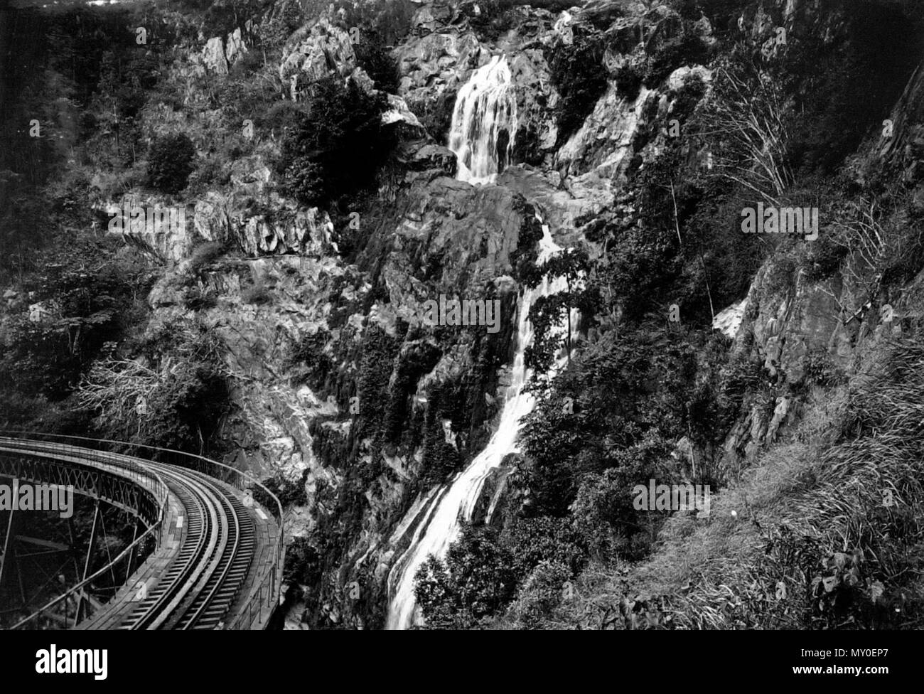 Stony Creek Falls, Cairns Eisenbahn, c 1935. Cairns Post 20 Juli 1935 ein Zug gesprungen. 41563872) Zwei Männer, James Willis (39) und John Charles Heather (23), wurden vor Herrn A. Anderson, C.P.S., in der Stadt Polizei Gericht gestern Morgen aufgeladen, mit auf den Zug zwischen Cairns und Stony Creek gereist, ohne den Fahrpreis von 1/7 gezahlt. Sie bekannte sich schuldig und wurden überführt und bestellten Tarif 1/7 zu entrichten; im Standard, 24 Stunden Haft. Stockfoto