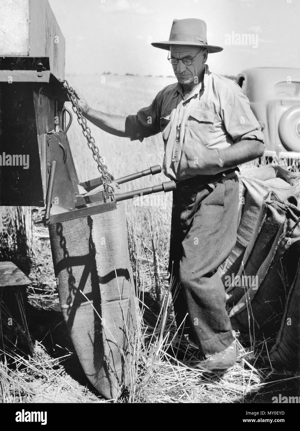 Die Abfuellung in Säcke Weizen, Glenora Downs, c 1954. Glenora Downs liegt ca. 35 km südlich von Smaragd. Stockfoto