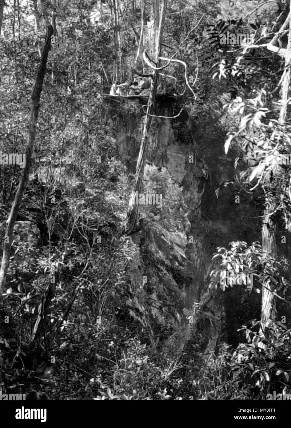Touristen mit Blick von oben in den Hypipamee Krater in der Nähe von Herberton, NQ,. Mt. Hypipamee Krater. 41713259?Suchbegriff=hypipamee Krater&amp; searchLimits=l-state=Queensland | | | L-Wort = 100+-+1000+Wörter) Aufmerksamkeit ist einer Ankündigung, die an anderer Stelle in diesen Spalten durch die Tourist Bureau für eine Road motor Ausflug zum Mt eingefügt erscheinen. Hypipamee Krater (herberton Krater) am Sonntag, den 17. November. Dieser Krater ist von besonderem Interesse, und dies ist die erste öffentliche Exkursion absehbar ist, dass die Reise vollständig gebucht werden. In der inclusive Preis von £ 1, einschließlich Transport und Verpflegung, ein exzellenter o Stockfoto