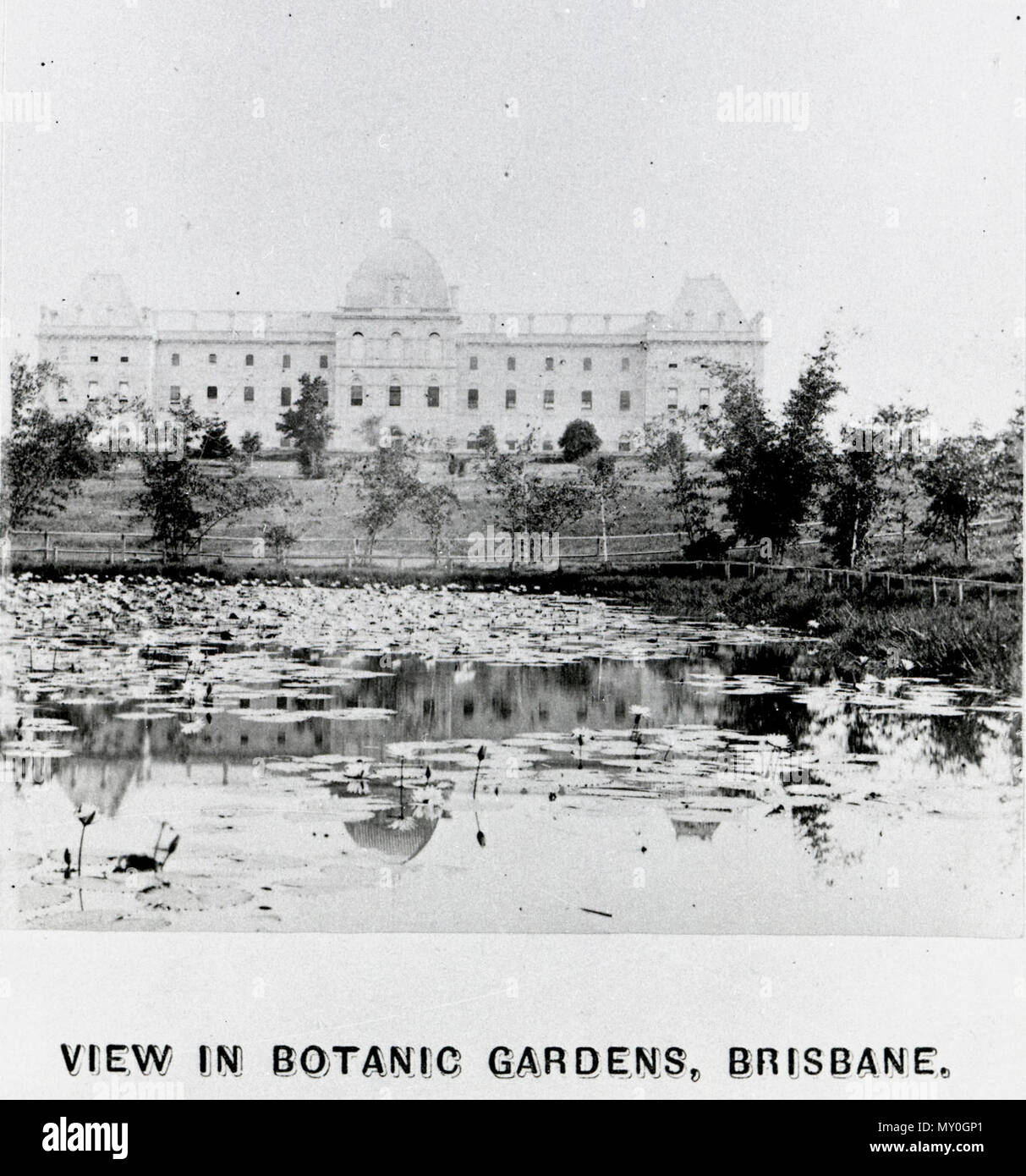 Von Brisbane in Botanischen Gärten, c 1900. BRISBANE Botanic Gardens. 19036724?Suchbegriff=Brisbane Botanic Gardens &Amp; searchLimits=l-state=Queensland | | | l-Dekade = 190 ||| l-Jahr = 1900) AN DIE REDAKTION. Sir, - - ich habe die Botanischen Gärten in letzter Zeit mehrfach besucht, und bewundern Sie die Art und Weise, in der Sie die Wiederherstellung von der Katastrophen von Stürmen und Überschwemmungen sind. Die Bäume, Sträucher, Blumen und wird in Kürze platzen werden auf der Messe blühen im Frühling, wenn die Lüfte des Himmels mehr genial für Jung und Alt, vor allem vielleicht diejenigen, deren wandering Füße führen Sie die schöne pe zu entdecken werden Stockfoto