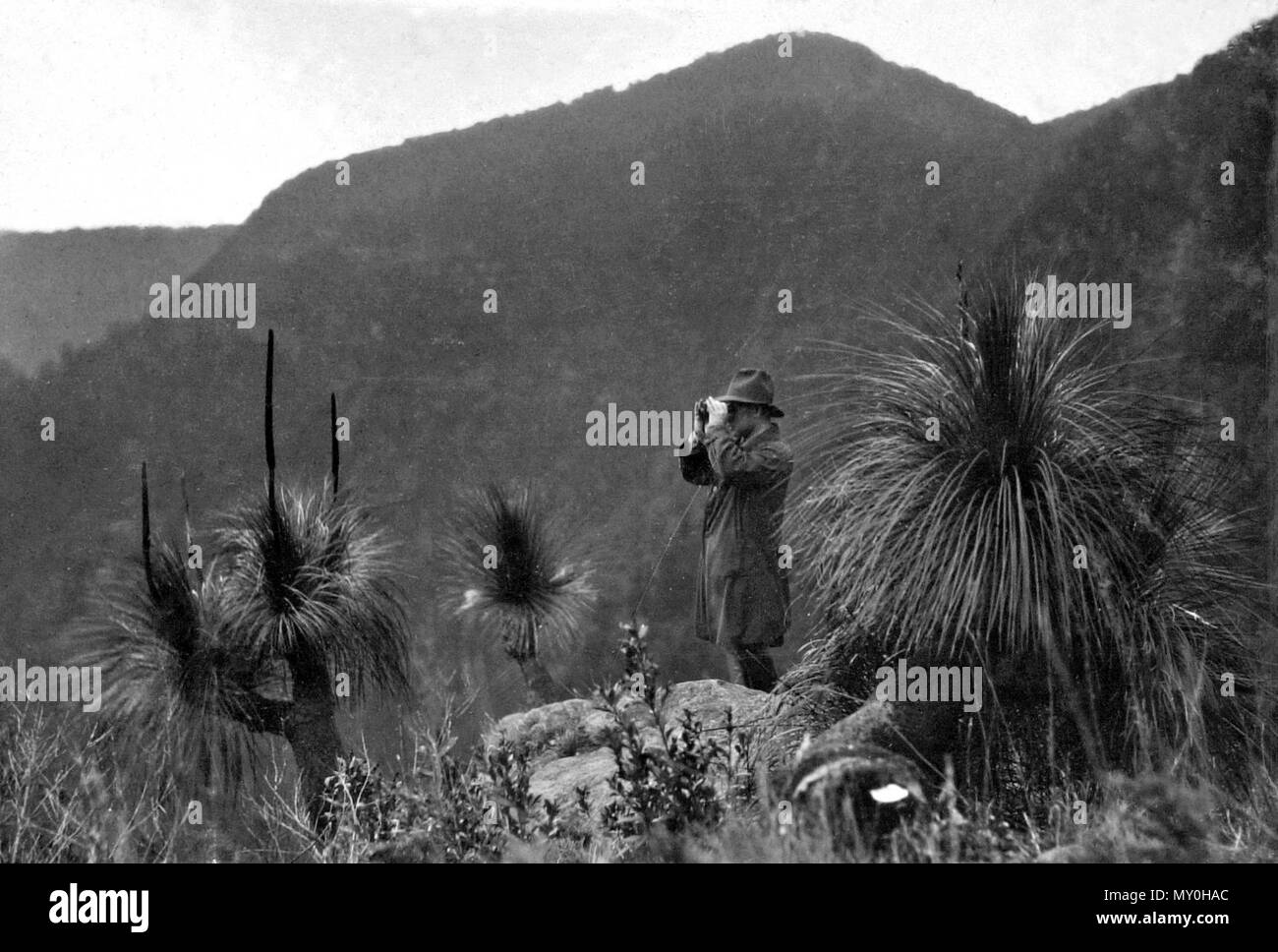 Echo Point, Lamington National Park, Beaudesert Shire September 1933. Stockfoto