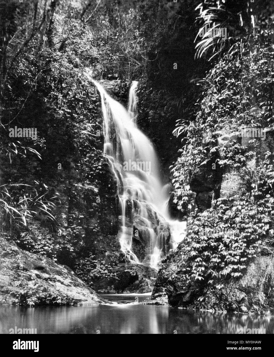 Elabana fällt, Canungra-schlucht (West Branch), Lamington National Park, Beaudesert. Stockfoto