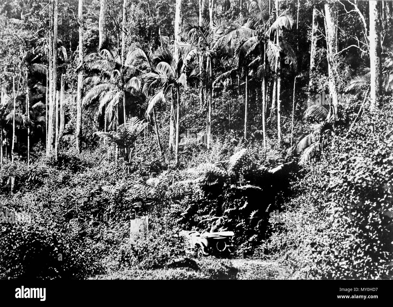 Eungella, Mackay, c 1931. EUNGELLA BEREICH. 170747158?Suchbegriff=eungella Bereich & Amp; searchLimits=l-state=Queensland | | | l-Dekade = 193) In der vergangenen Saison eine große Anzahl von Menschen hat die Gelegenheit genutzt um eungella Bereich besuchen und waren laut in ihrem Loblied auf das Klima und die herrliche Landschaft, die Ausstiege auf der Oberseite der Palette, auch die schöne Aussicht von einem der mehreren Aussichtspunkte in der Umgebung zu erhalten. Wochenende auch verwendet werden diesem charmanten Ort, die scheint immer beliebter zu werden, zu besuchen. Letzten Sonntag über 70 Autos an Thro Stockfoto