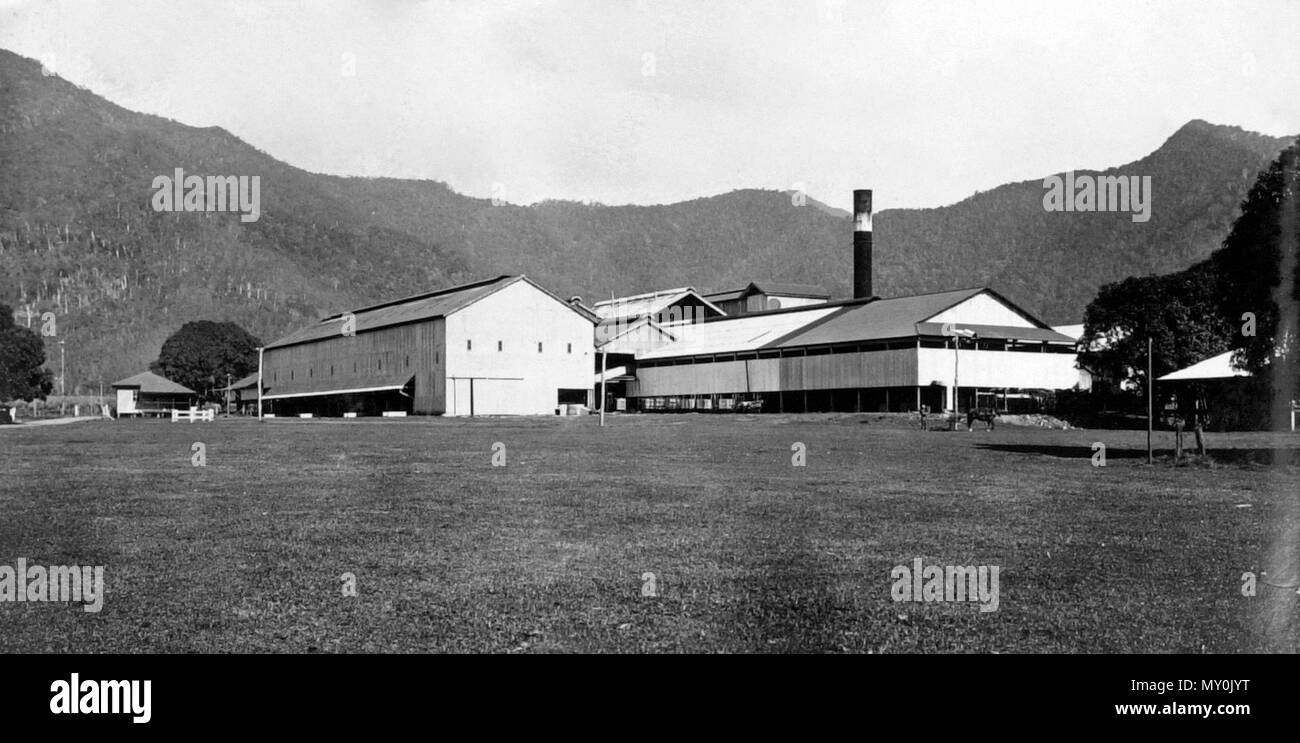 Hambledon Sugar Mill in der Nähe von Cairns, c 1935. Cairns Post vom 11. Juli 1935 Zucker würzen. HAMBLEDON MÜHLE. Schneiden begonnen. 41562432) Mit der beste Teil von 400 Kutter auf unterzeichnet, den Zucker in der hambledon (C.S.R.) Mühle Bereich in vollem Gange bis Ende der Woche sein wird. Einige der Schneider am Dienstag begann die Mühle zu geben, die Versorgung Ihrer Maschinen zu testen. Mehr Schneider fing gestern und die Mühle wird seine Quetschungen - Tag beginnen. Der Rest der Schneidwerkzeuge in der Arbeit von Montag begonnen haben - weiter. Stockfoto