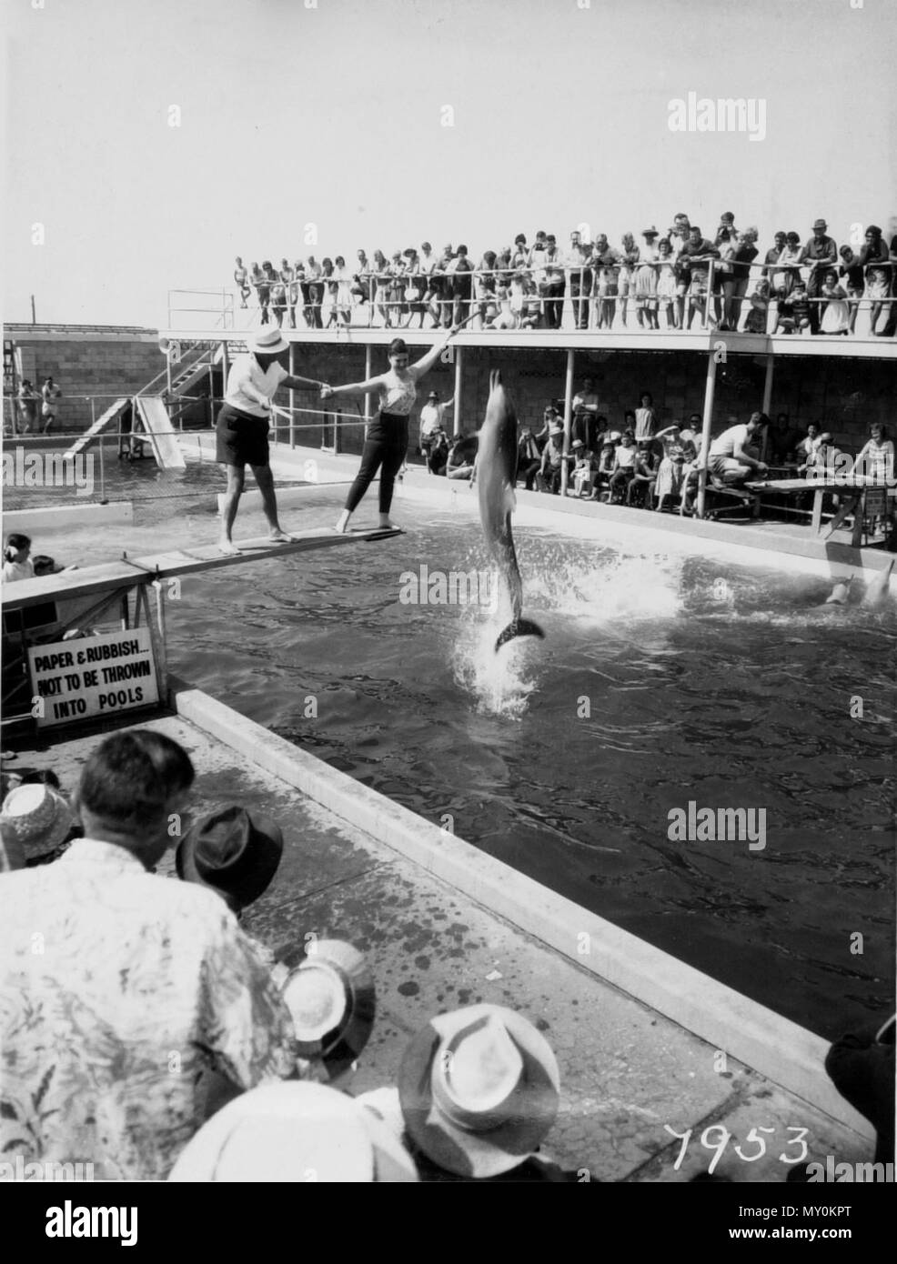 Jack Evans Porpoise Pool, Coolangatta, 1. September 1963. Die Jack Evans Porpoise Pool war eine der frühesten Sehenswürdigkeiten an der Gold Coast, Eröffnung 1956. Obwohl das ursprüngliche Foto, bei Tweed Heads beschriftet ist, der Pool war auf der nördlichen Seite der Punkt Gefahr, Coolangatta. Stockfoto