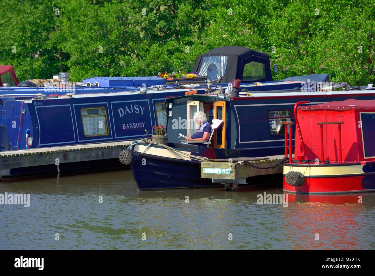 Ältere ältere Dame Lesen auf einem angelegten Kanal Boot, Mercia Marina Willington, Derbyshire, England Großbritannien Stockfoto