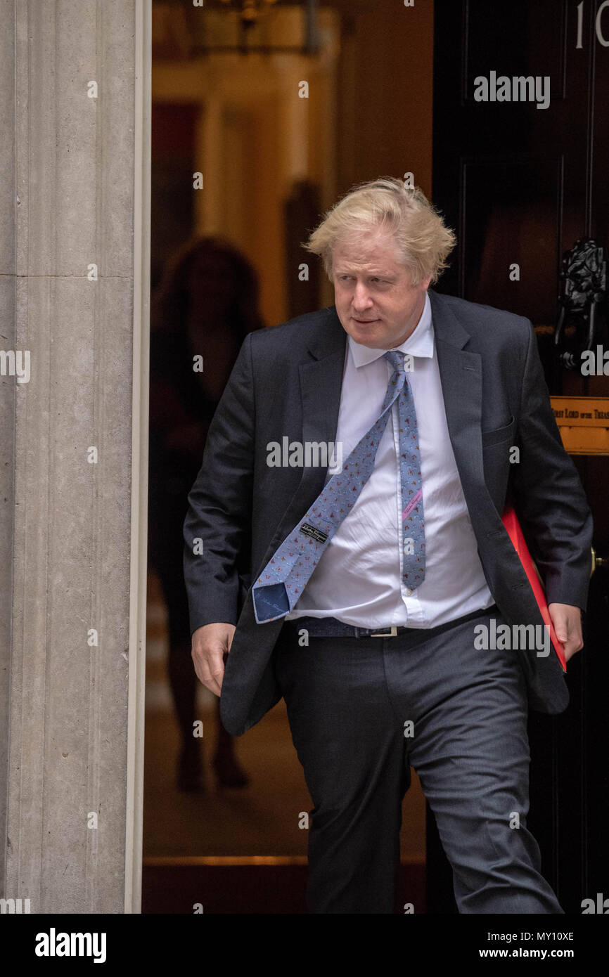 London, Großbritannien. 5. Juni 2018, Boris Johnson MP PC, Außenminister, Blätter Kabinettssitzung in Downing Street 10, London, UK. Kredit Ian Davidson/Alamy leben Nachrichten Stockfoto