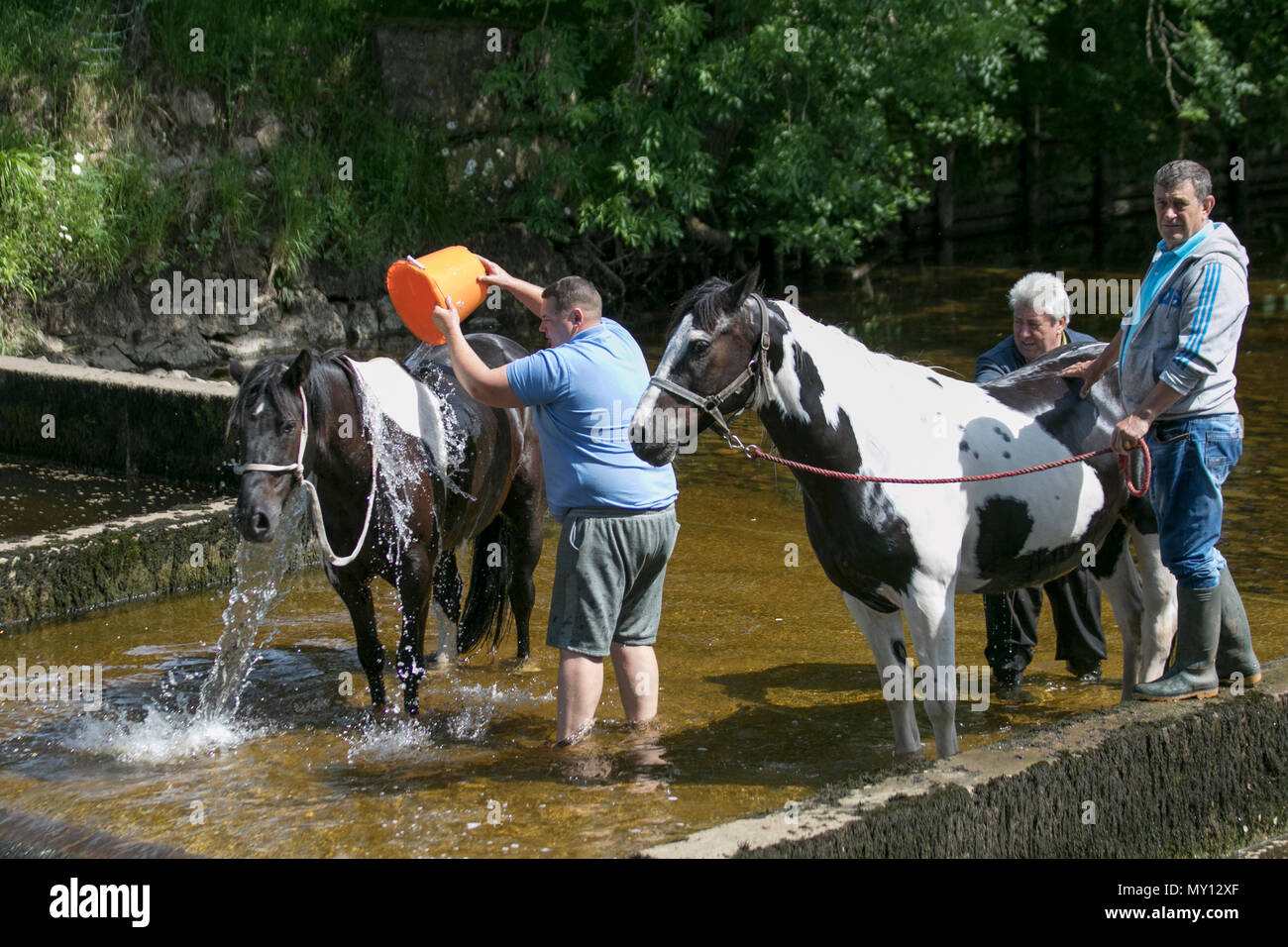 Kirkby Stephen, Cumbria, Großbritannien. 5. Juni 2018. Wetter. Richard Huntly & Mitglieder der Gemeinschaft Kopf für Appleby Horse Fair, da die Strassen in Cumbria und die Yorkshire Dales Weiden für ihre Cob Pferde bieten en-Rout zu ihrer jährlichen Versammlung. Die Pferdemesse ist jedes Jahr Anfang Juni statt. Es zieht etwa 10.000 Sinti und Roma und der Fahrenden und etwa 30.000 Menschen. Anstatt die Veranstaltung mit einem Programm festlegen, es ist wie das grösste traditionelle Gypsy Messe in Europa, einer in Rechnung gestellt, die wie eine große Familie zusammen. Credit: MediaWorldImas/AlamyLiveNews Stockfoto