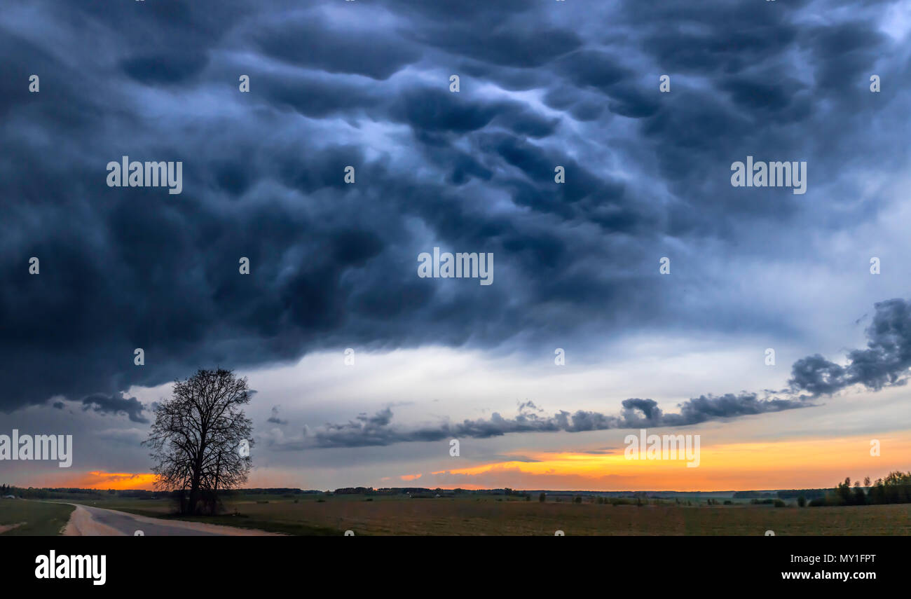 Dunkle dramatische Landschaft stürmischen Himmel über Feldern. Stockfoto