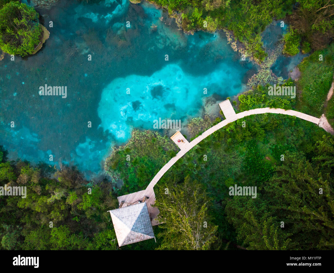 Mann mit Hund an den hölzernen Fußgängerbrücke in Zelenci, Slowenien. Antenne sitzen Drohne von oben nach unten anzeigen. Stockfoto