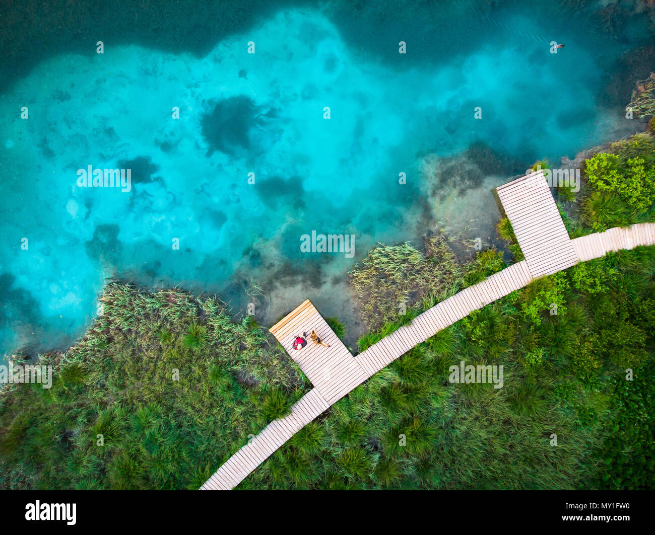 Mann mit Hund an den hölzernen Fußgängerbrücke in Zelenci, Slowenien. Antenne sitzen Drohne von oben nach unten anzeigen. Stockfoto