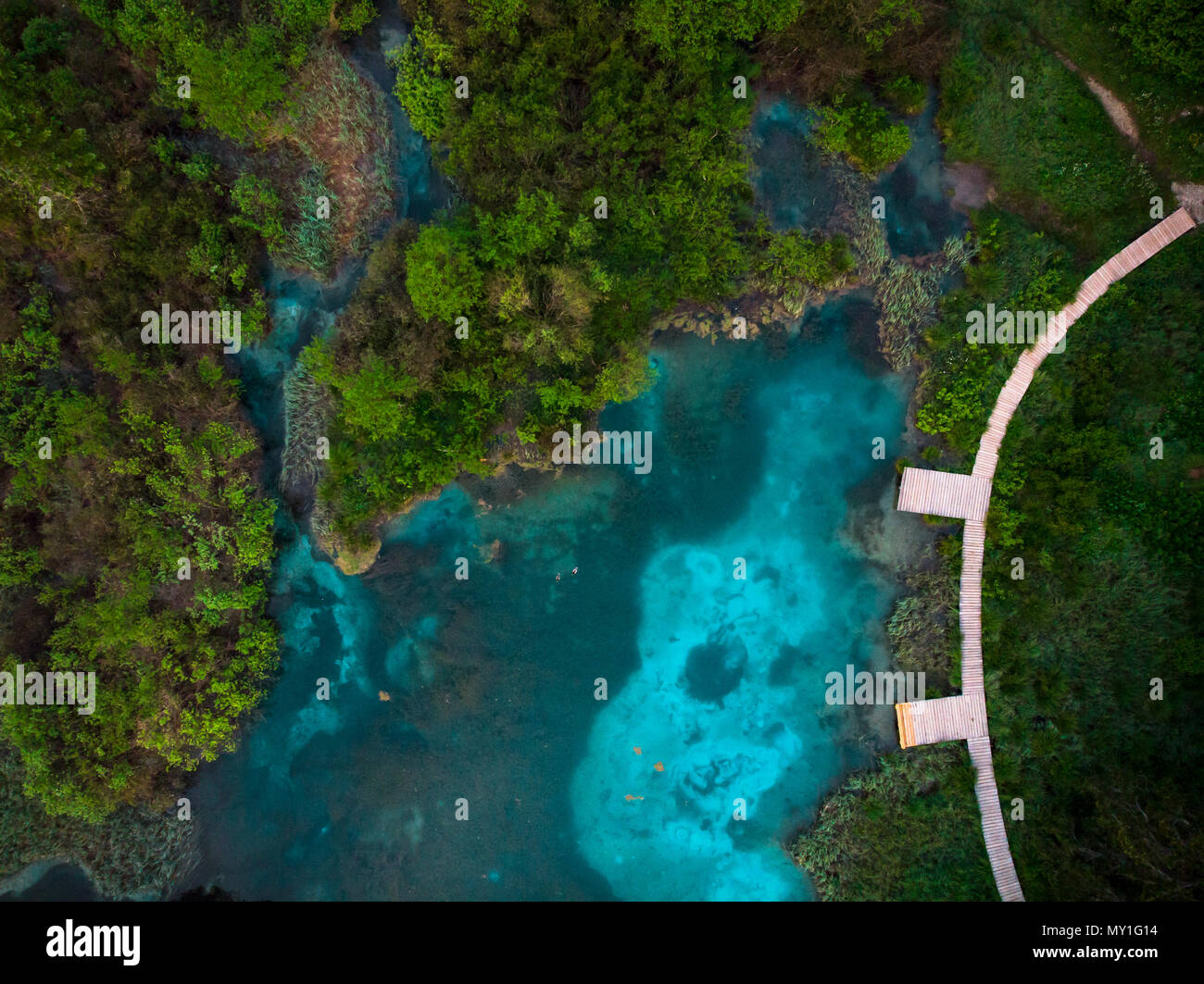 Zelenci Naturpark von Luftbildern von oben nach unten Drone, Slowenien. Stockfoto