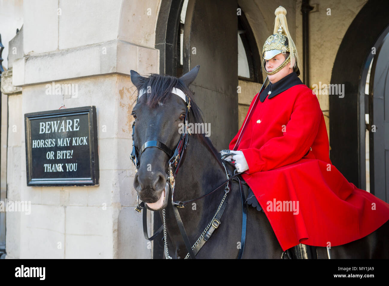 LONDON - 31. Oktober 2016: Montiert Königin Life Guard der Household Cavalry sitzt auf seinem Pferd in einen Torbogen vor Whitehall. Stockfoto LONDON - 31. Oktober 2016: Montiert Königin Life Guard der Household Cavalry sitzt auf seinem Pferd in einen Torbogen vor Whitehall. Stockfoto