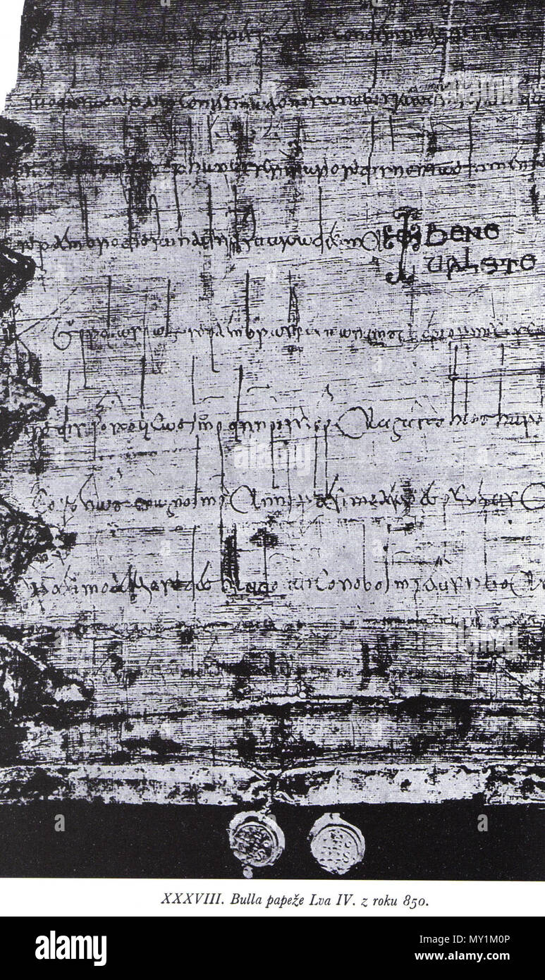 501 Starší kuriála Stockfoto